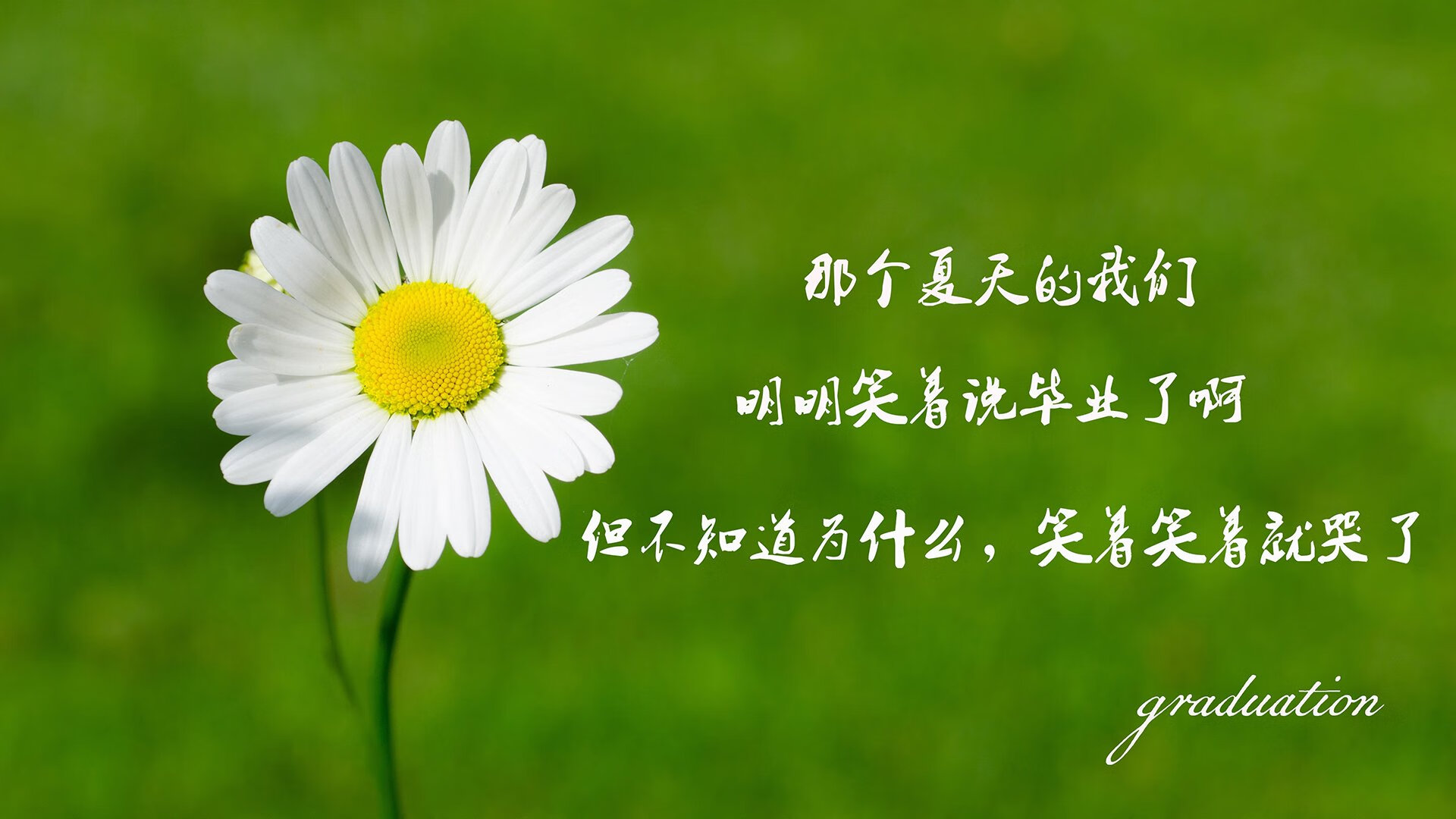 开云·体育全站登录地址-尼尔·巴特尔为袋鼠队防线增加了深度和稳定性