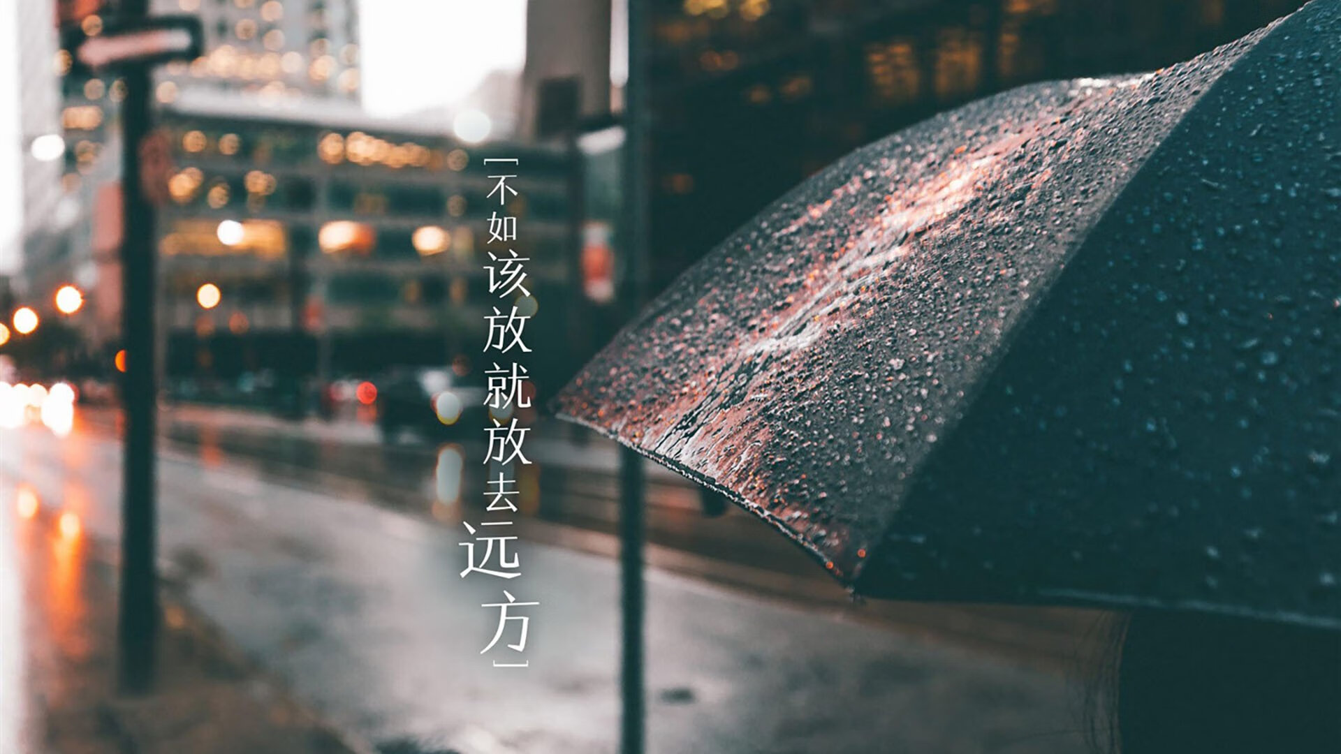 林丹强势反弹全运会,林丹全运会获几次冠军