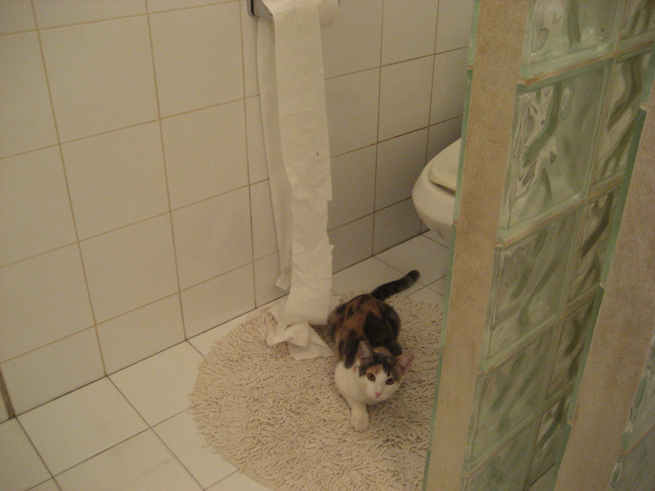 KAIYUNAPP-英超巅峰决战：悬念不断，精彩继续！，英超经典比赛