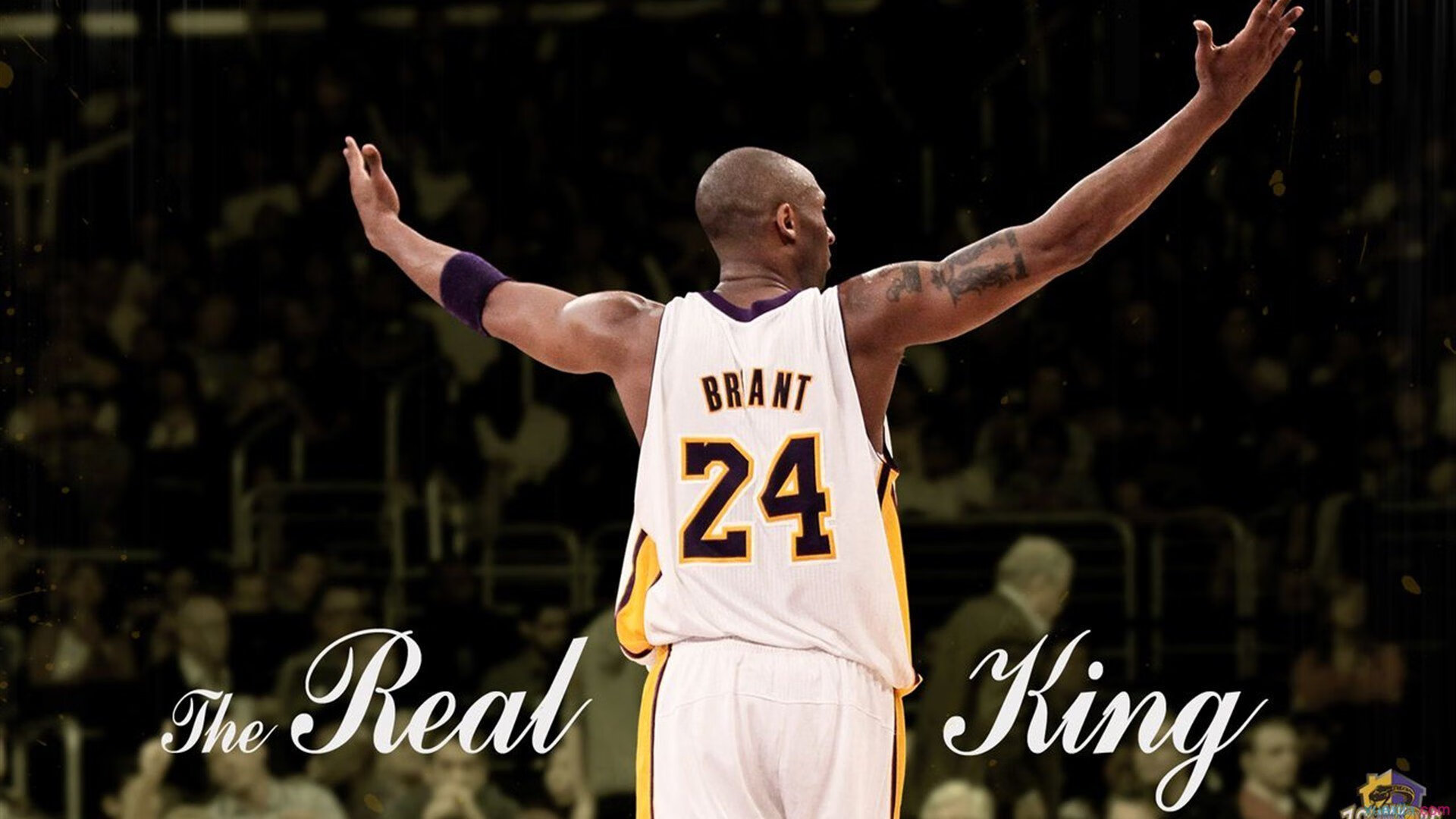 家族车队：父子车手的传承，车的家族大聚会