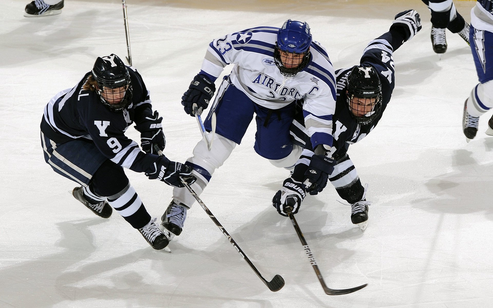 新秀训练营火热开幕,球员潜力巨大的新星出现,新秀怎么样